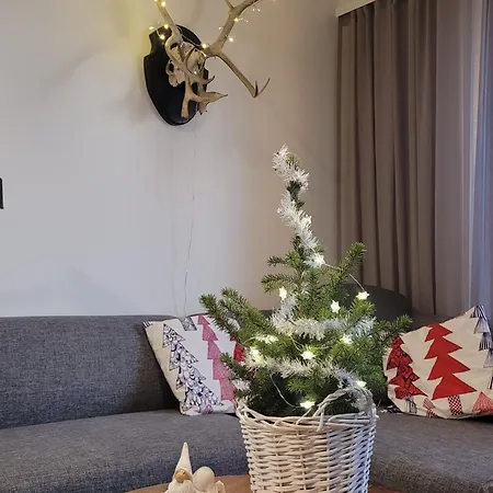 Levinlaita Διαμέρισμα Levi