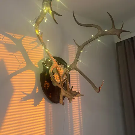 Lejlighed Levinlaita Levi