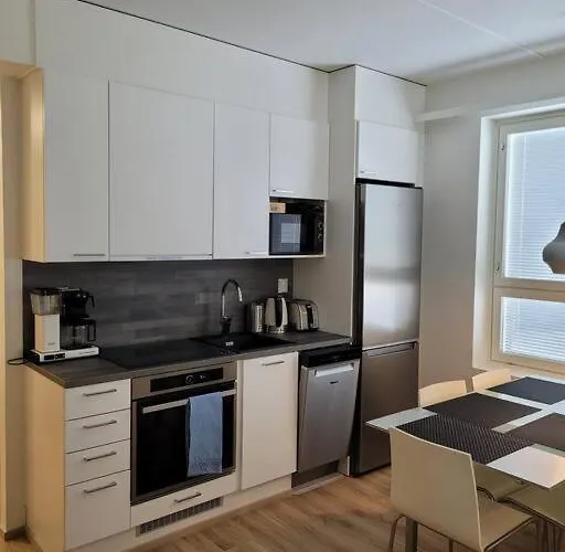 Levinlaita 아파트 레비