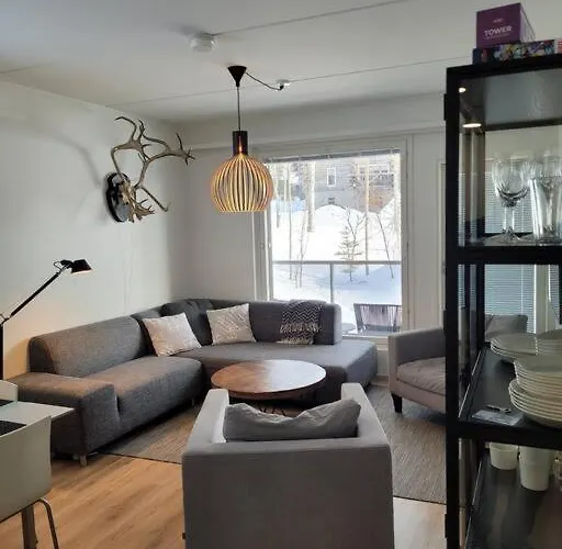 Levinlaita 아파트 *