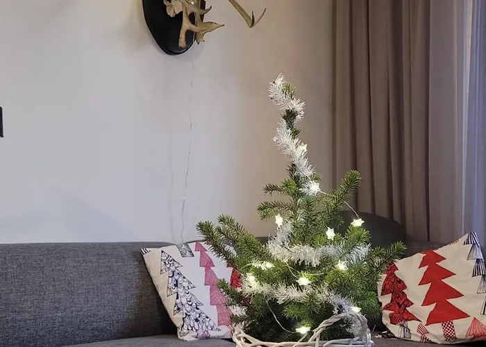 Levinlaita شقة ليفي