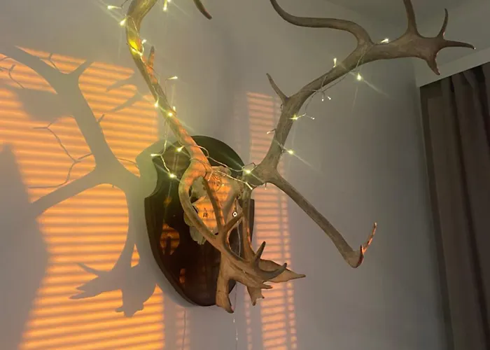 شقة Levinlaita ليفي